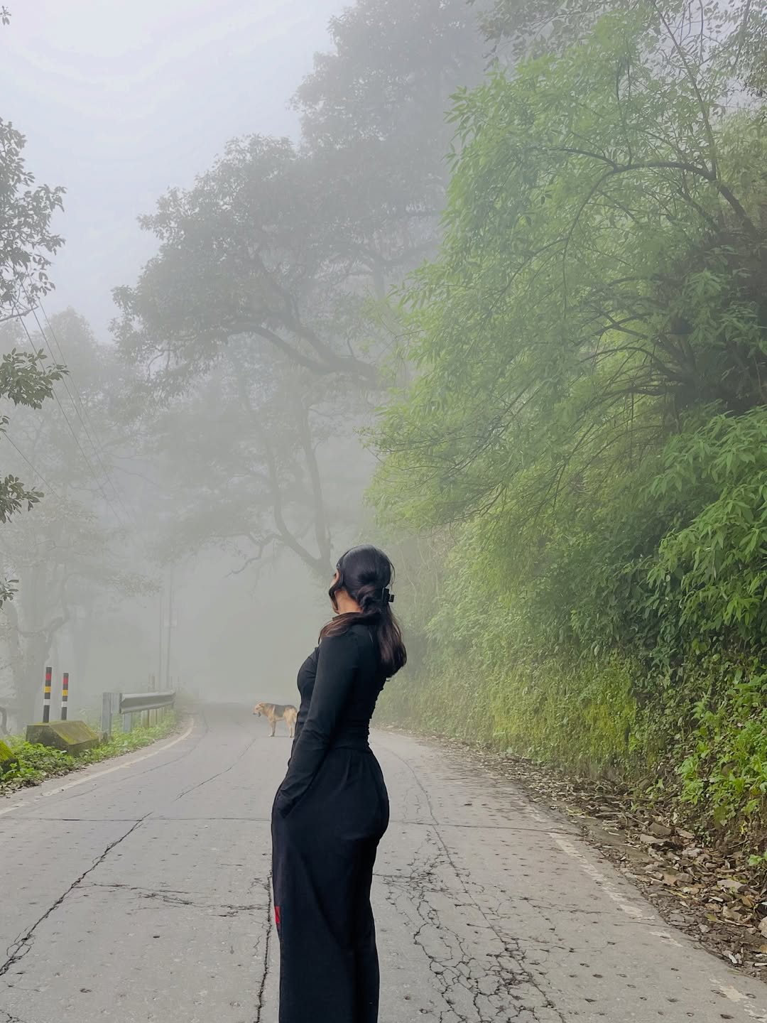 chakrata tour package